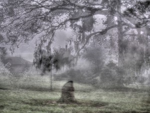 ghost in the wood_72  